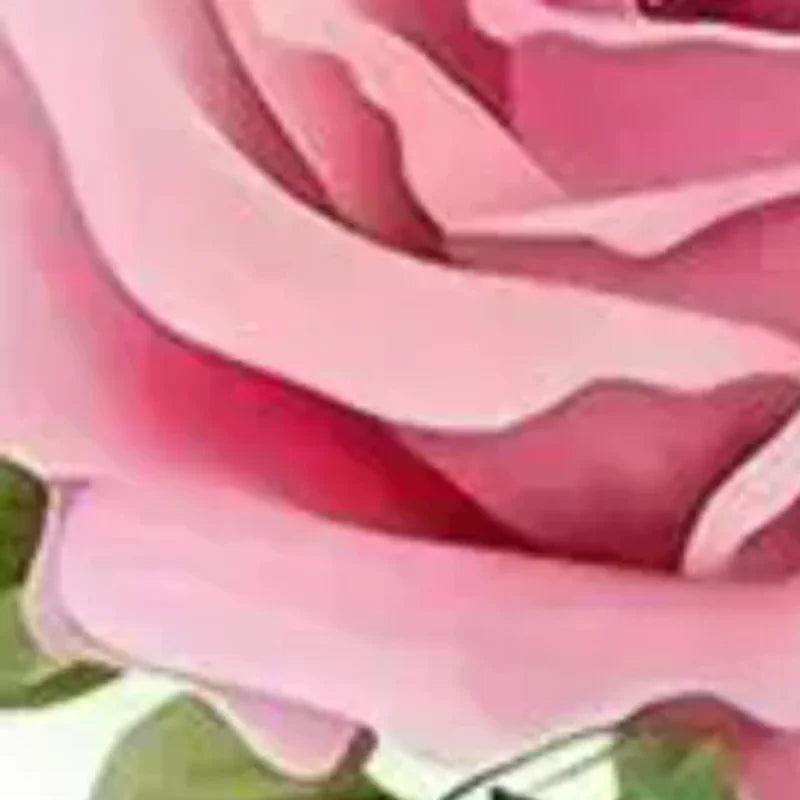 Red Rose Home Decal Sticker 15x15cm – Waterproof & Removable