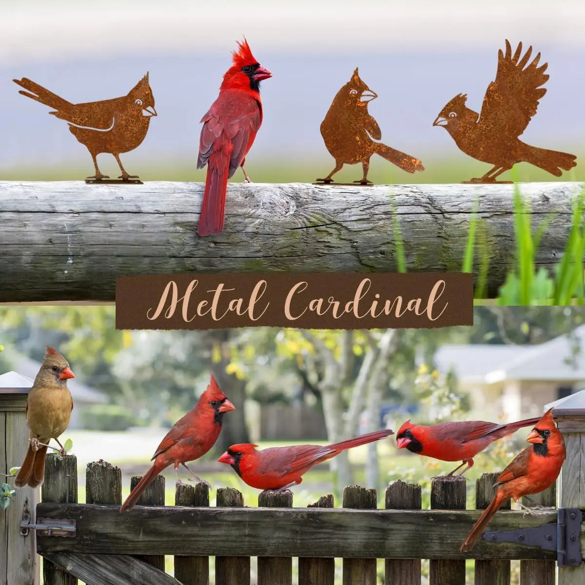 5-Piece Metal Bird Wall Decor – Rustic Farmhouse Garden Art Set