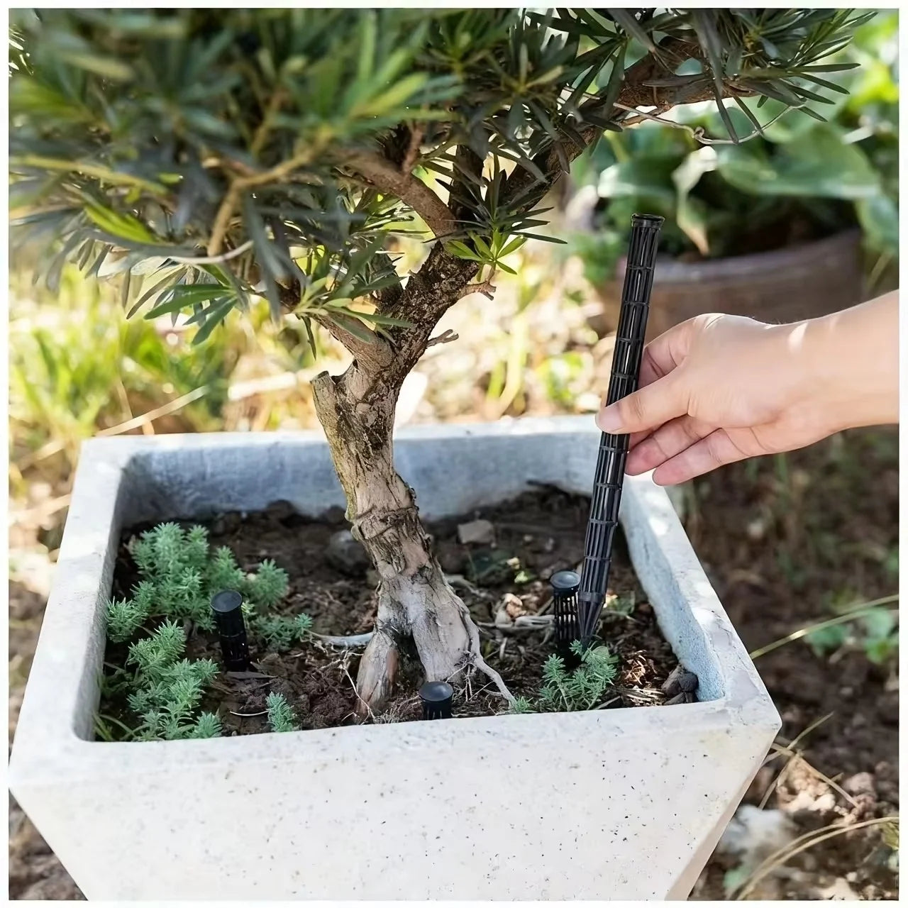 20 Plant Aeration Tubes Pots Root Rot Prevention Prevent Overwatering
