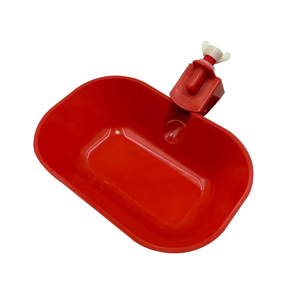 5 Pieces of Red Automatic Water Dispenser for Chickens Ducks Geese Water Bowls Poultry and Birds Poultry Feeding Products Zpaxo