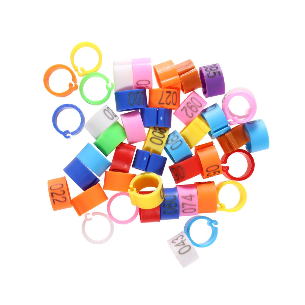Digital Bird Identification Plastic Opening Foot Rings Bright Numbers