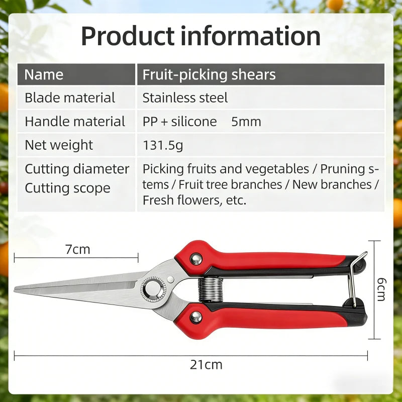 Fruit tree scissors, stainless steel pointed pruning shears, pruning shears, fruit and vegetable pruning shears, flower cutting Zpaxo