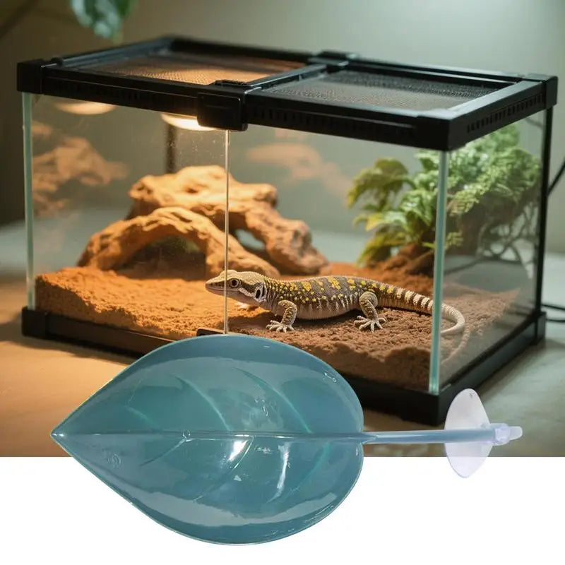 Geckos Frog Habitat Leaf Suction Cup Reptile Basking Area Resting