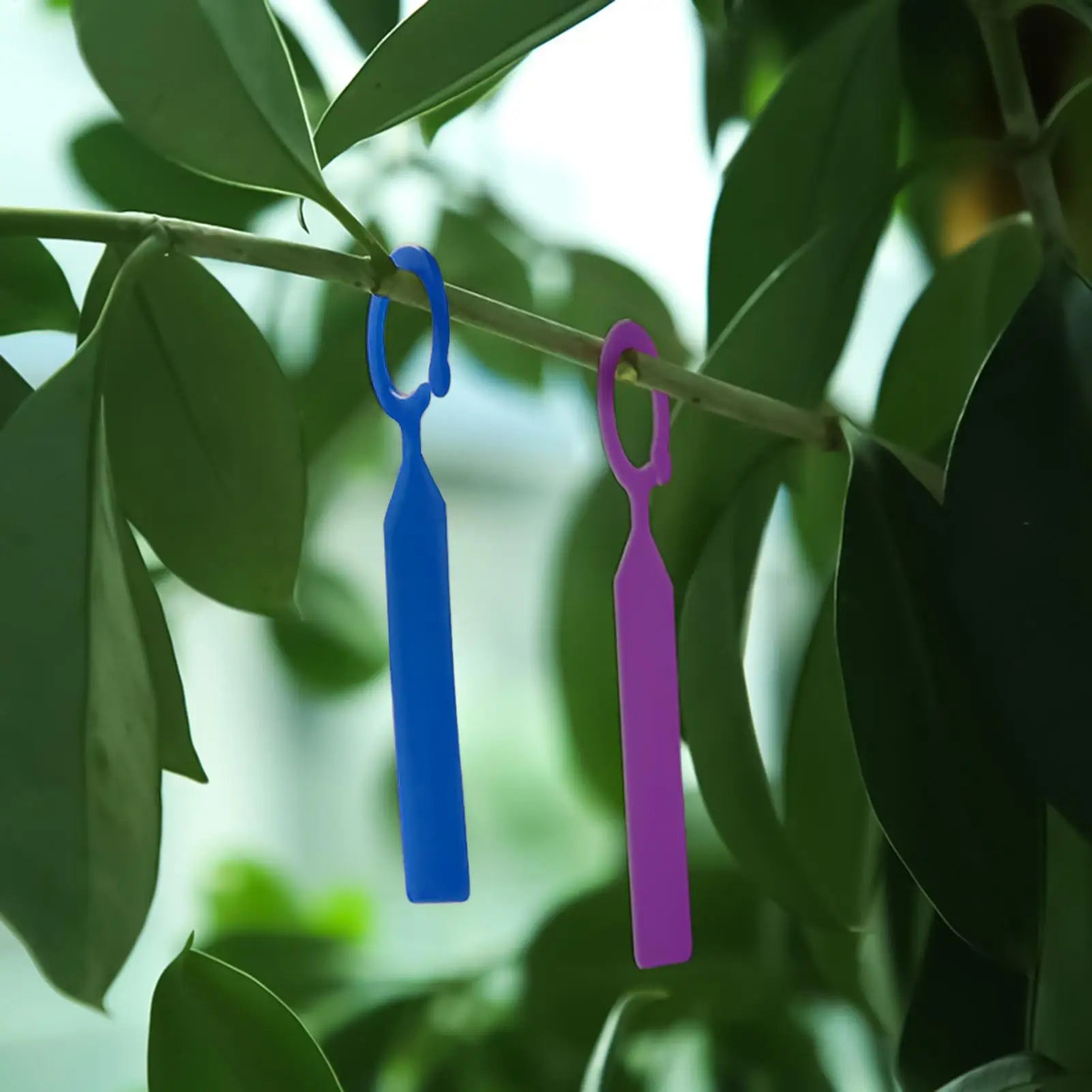 Garden Labels Waterproof Thick Plastic Plant Tags Colorful Hanging Zpaxo