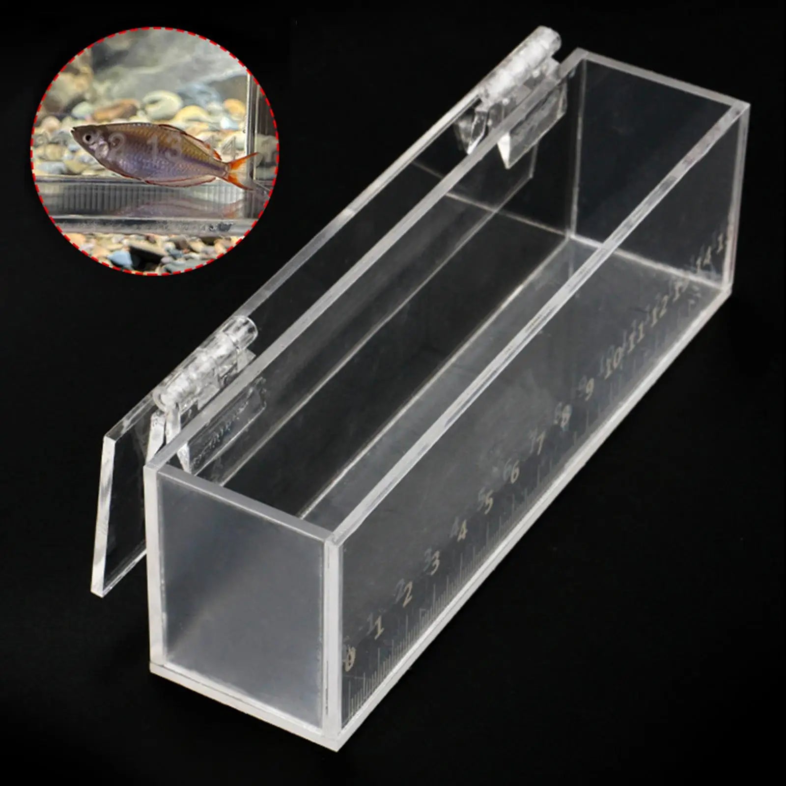 Fishing Photo Tank Acrylic Mini Aquarium Lid Fish Viewing Box Zpaxo Default Title