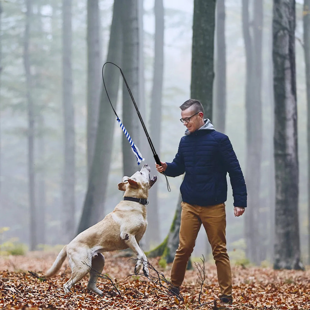 Retractable Dog Interactive Stick L Black Telescoping Flirt Pole