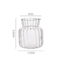 Scandinavian Transparent Vase Plant Flower Pot Hydroponic Container