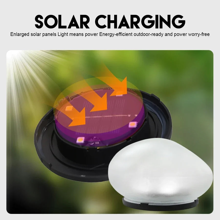 Solar Pebble Garden Light – IP65 Waterproof Auto LED Path Light