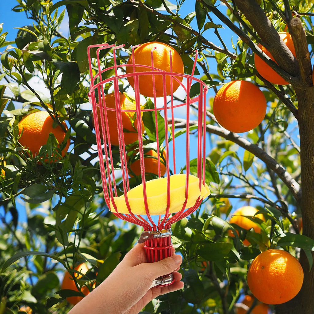 1Pcs Fruit Harvester Device Sturdy Light Weight Non-Slip Grip Picks Multiple Fruits Safely Suitable for Arbutus Pear Peach Zpaxo Default Title
