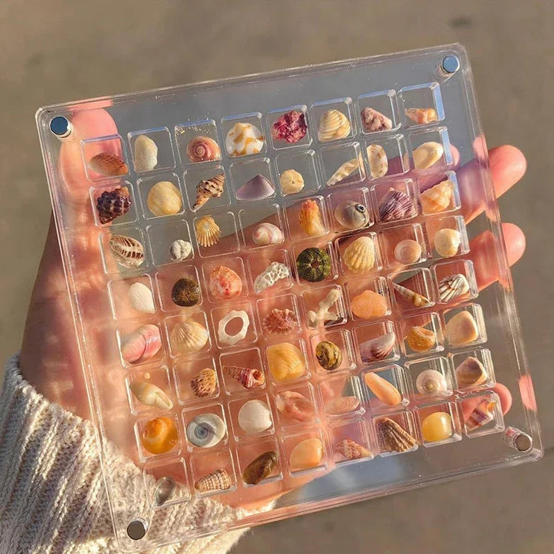 36 grids Acrylic Seashell Display Box with Magnets Durable Starfishs Trinket Storage Case for Bead Nail Jewelry Zpaxo