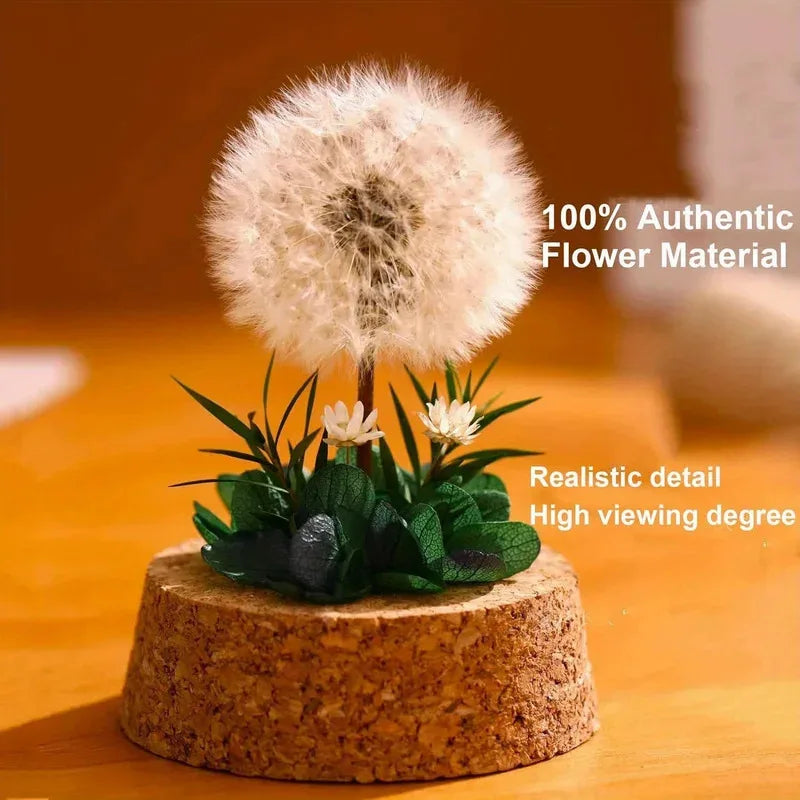 Desktop Decor Dried Dandelion Bouquet Preserved Flowers Birthday