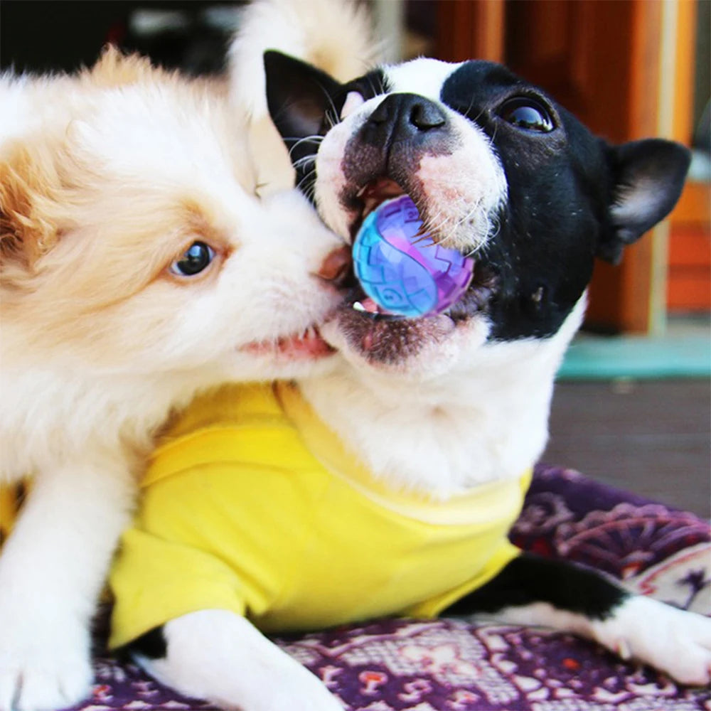 Pet Dog Puppy Squeaky Chew Toys Sound Pure Natural Non-toxic Rubber Zpaxo