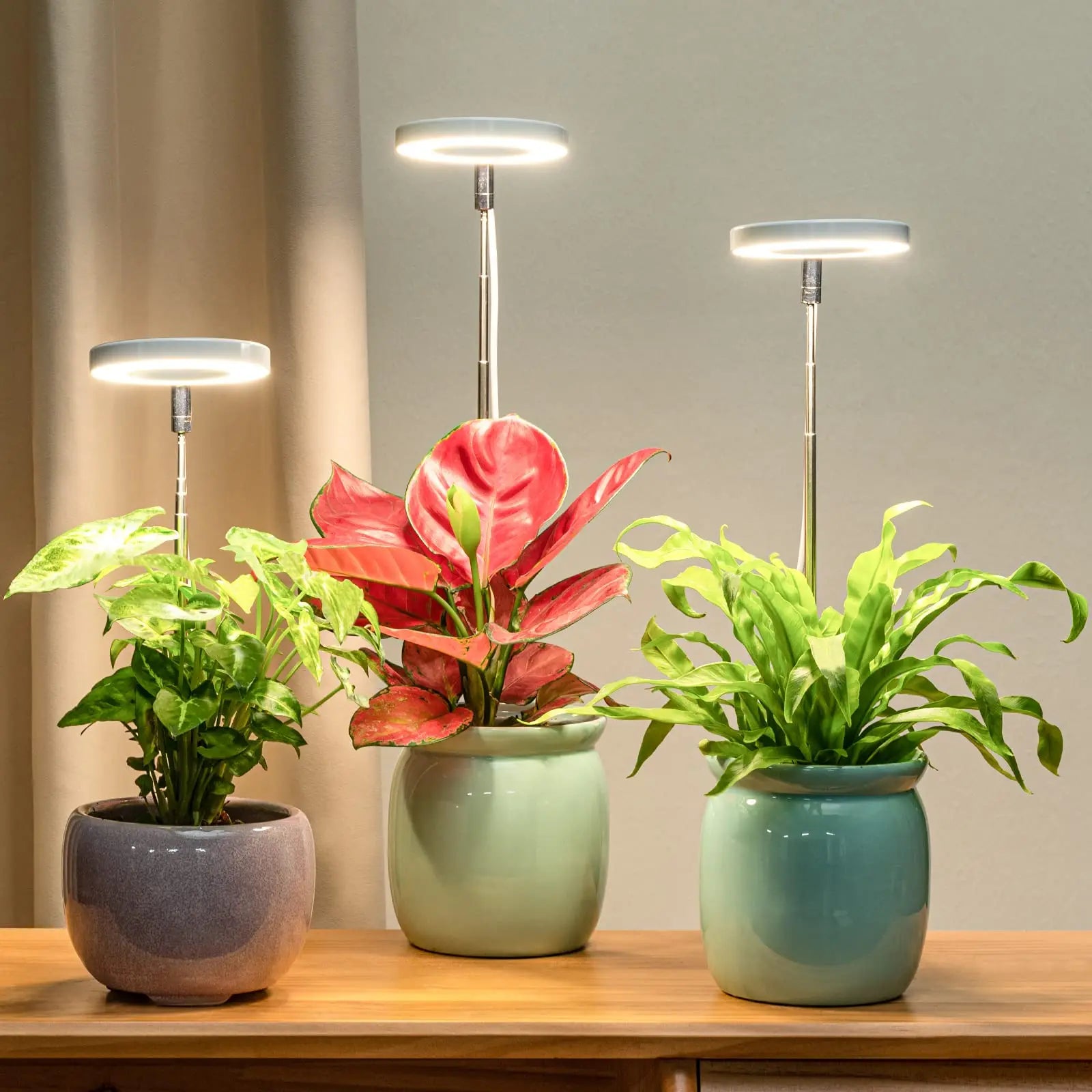 LED Grow Lamp Full Spectrum Fill Light for Indoor Plants with Adjustable Height, 3/9/12H Timer, 10-Level Dimming for Garden Zpaxo