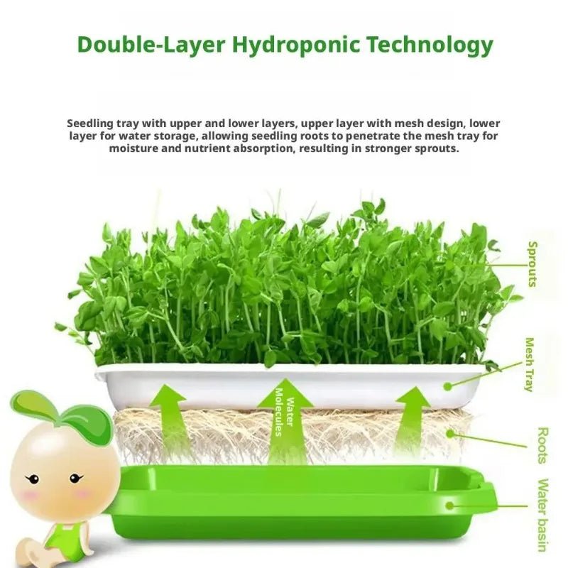 Soilless Planting Seedling Tray,Seed Sprouter Germination Tray for Growing, Bean Sprouts, Cat Grass, Wheat Grass, Mung Beans Zpaxo