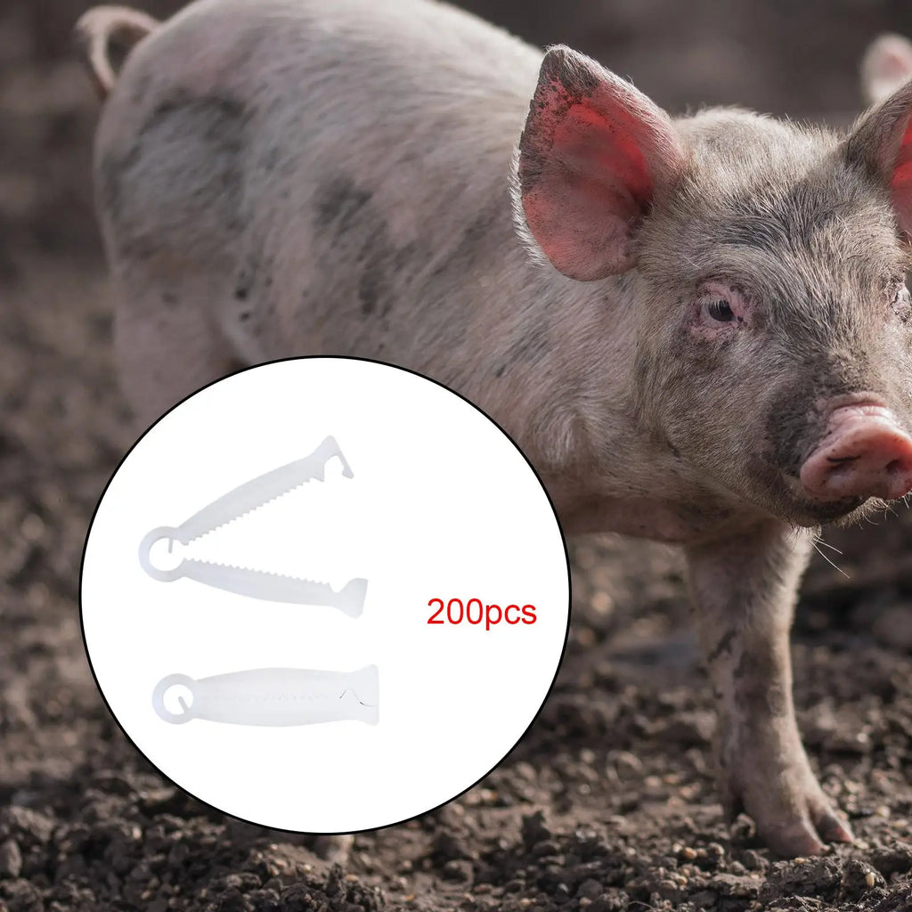 200Pcs Disposable Whelping Kits Multipurpose Portable Practical Pig Umbilical Cord Clip for sheep Sheep Cow Farming Pigs Zpaxo