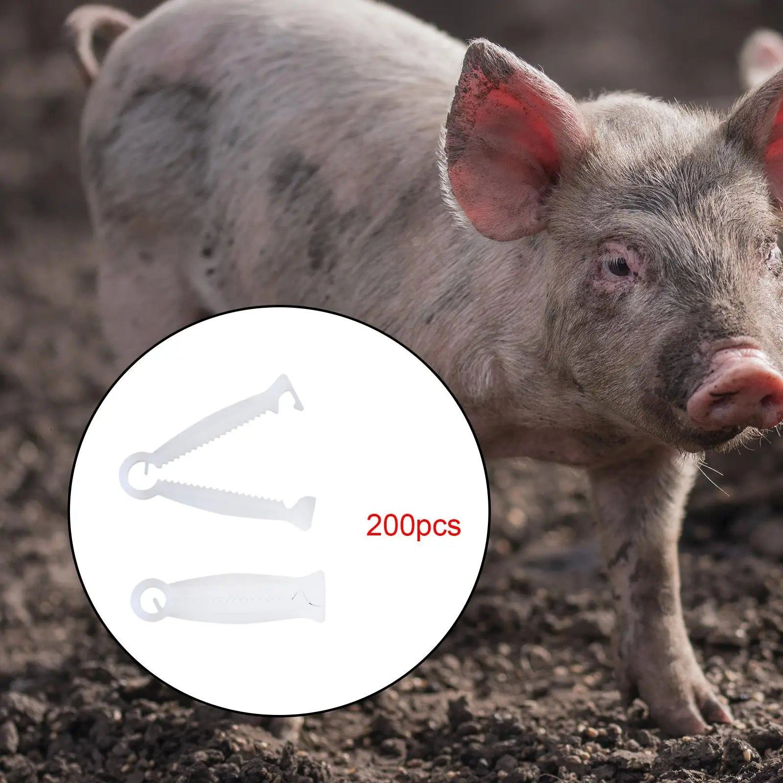 200Pcs Disposable Whelping Kits Multipurpose Portable Practical Pig Umbilical Cord Clip for sheep Sheep Cow Farming Pigs Zpaxo