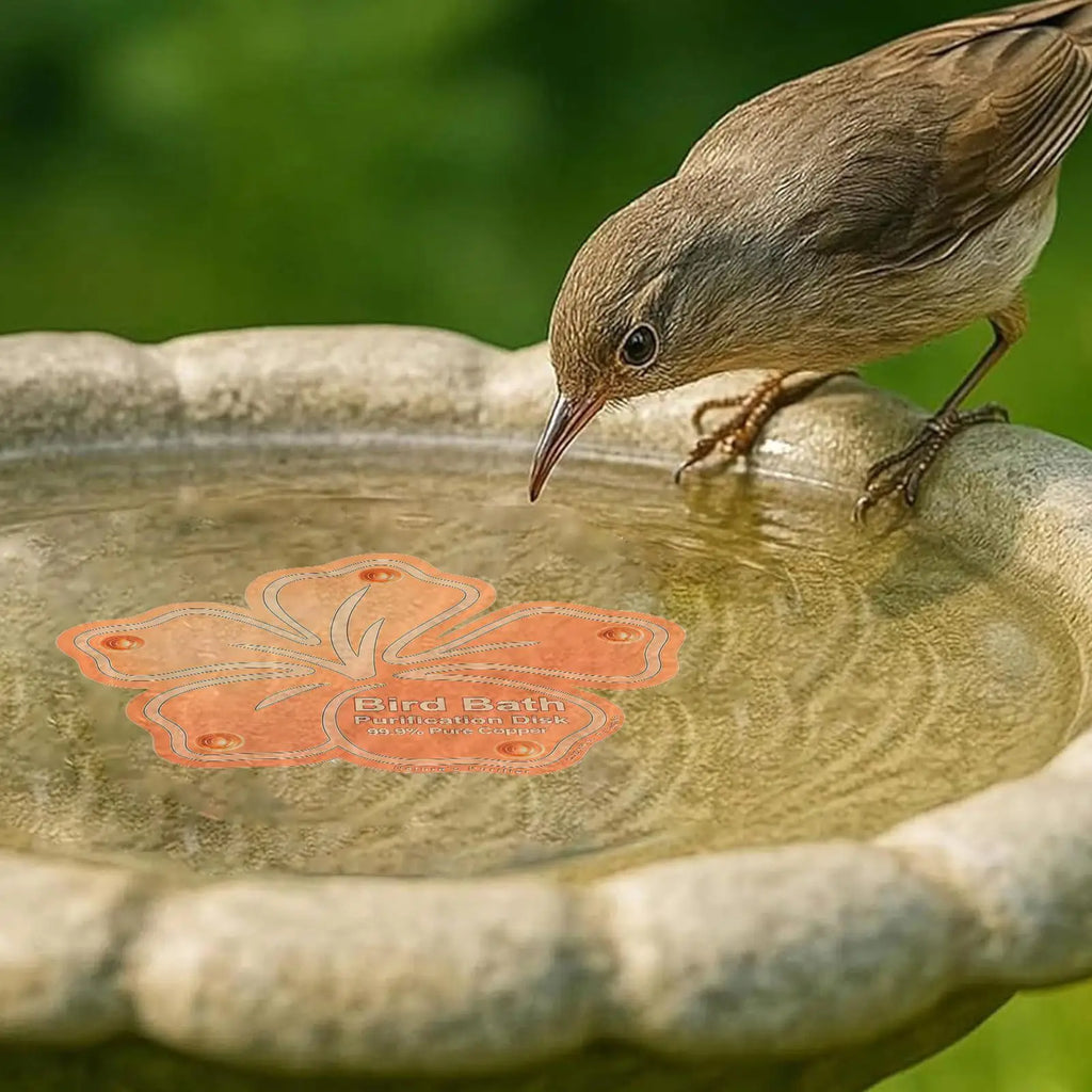 Bird Bath Copper Purification Panel Flower Shape Physical Safe Water