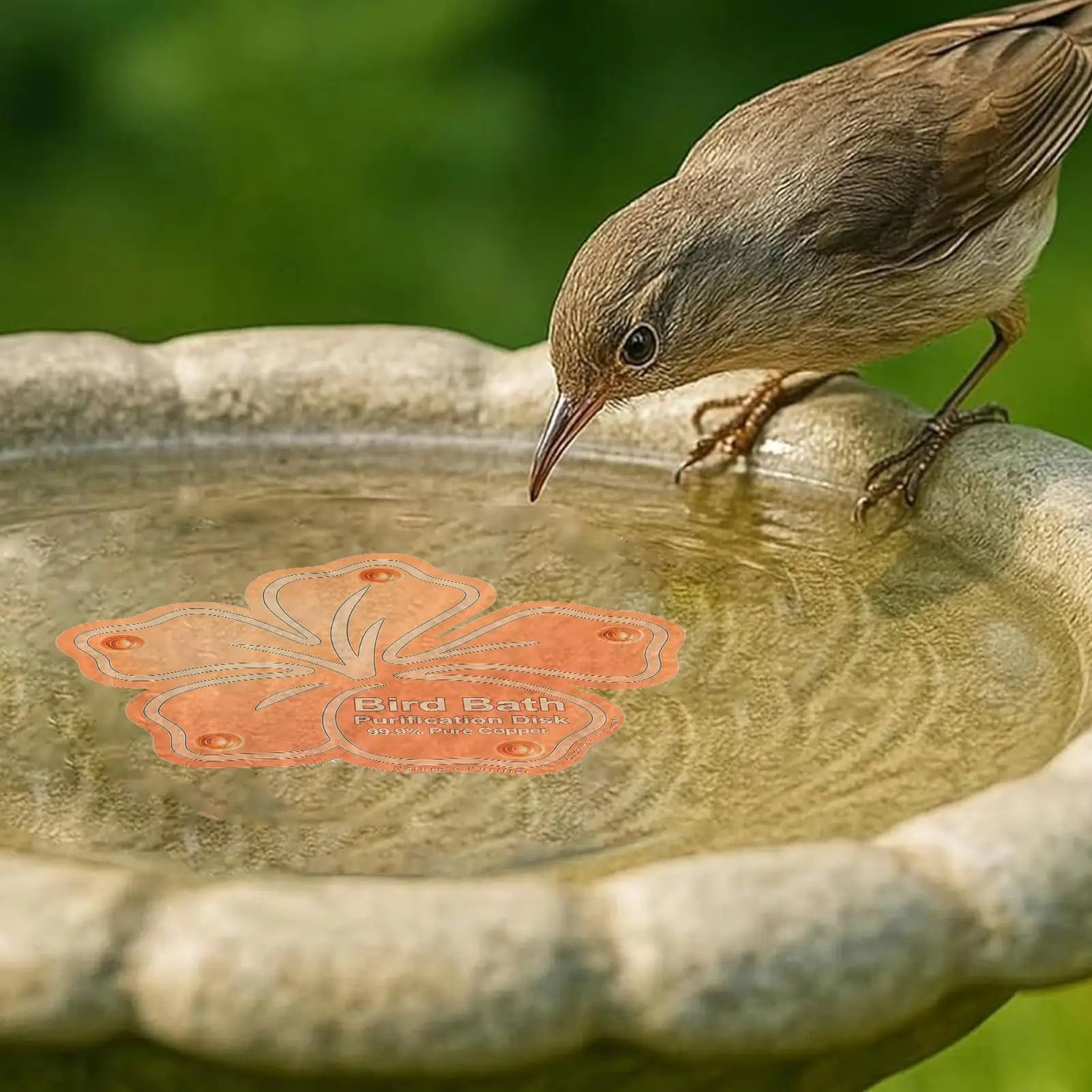 Bird Bath Copper Purification Panel Flower Shape Physical Safe Water