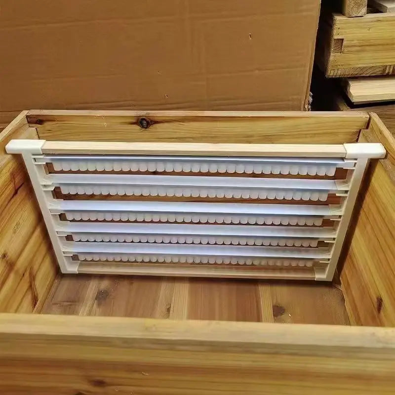 Double Rows Royal Jelly Frames Bars Plastic Bees Specializing
