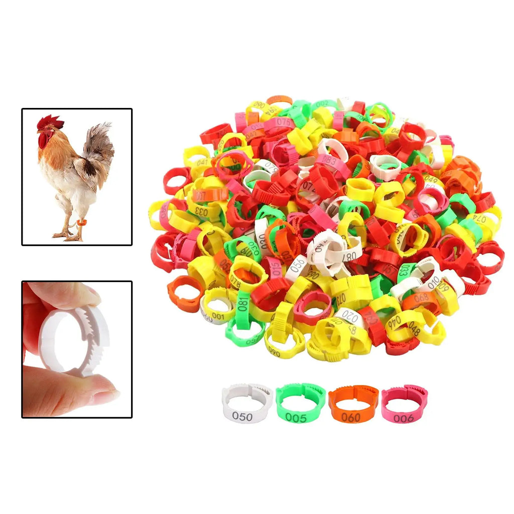 100 Pieces Poultry Foot Rings Foot Label Rings Chicken Marker Tag Poultry Leg Bands for Pigeon Ducks Goose Birds Chickens Zpaxo