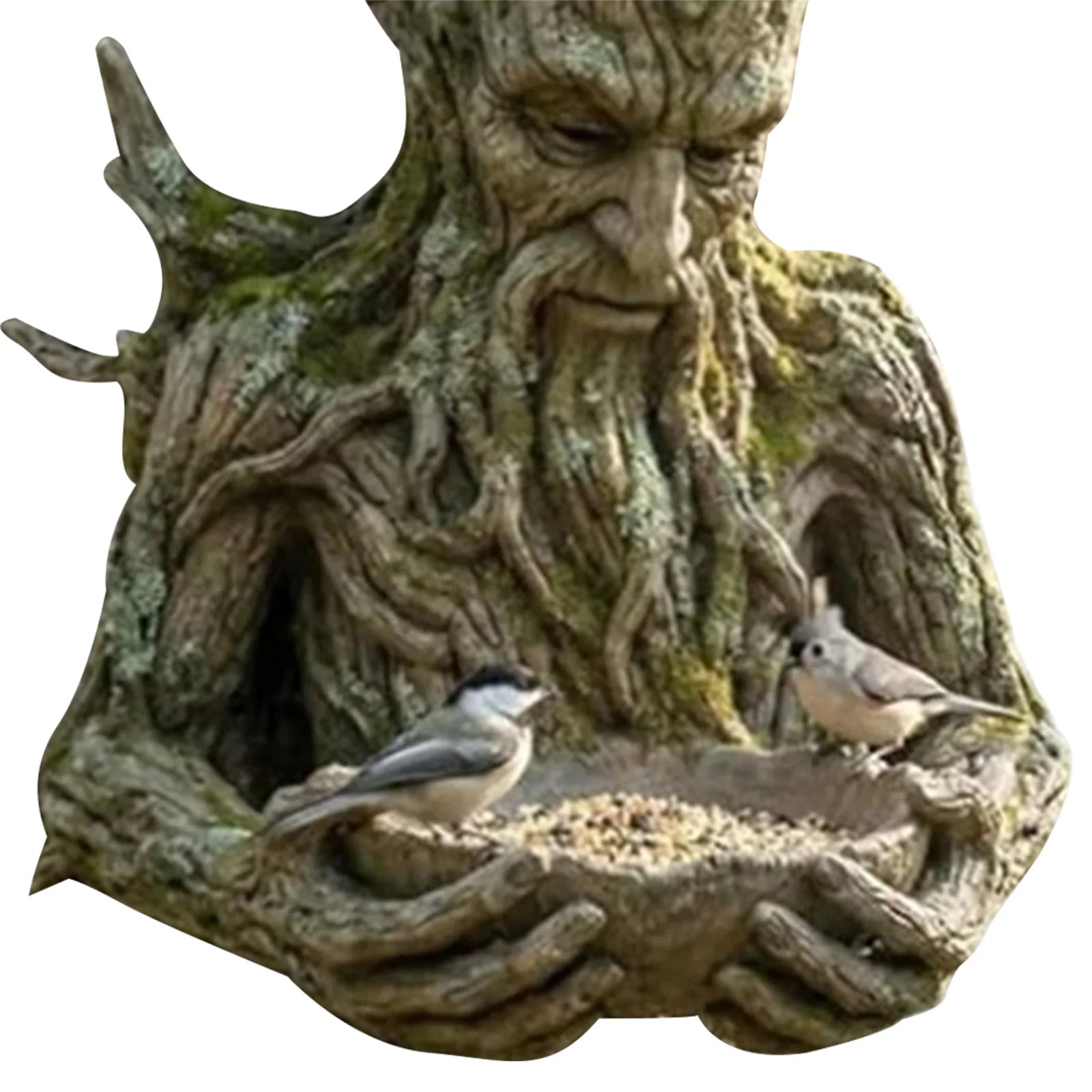 Bird Feeding Sculpture Hidden Hang Hole Ancient Tree Feeder