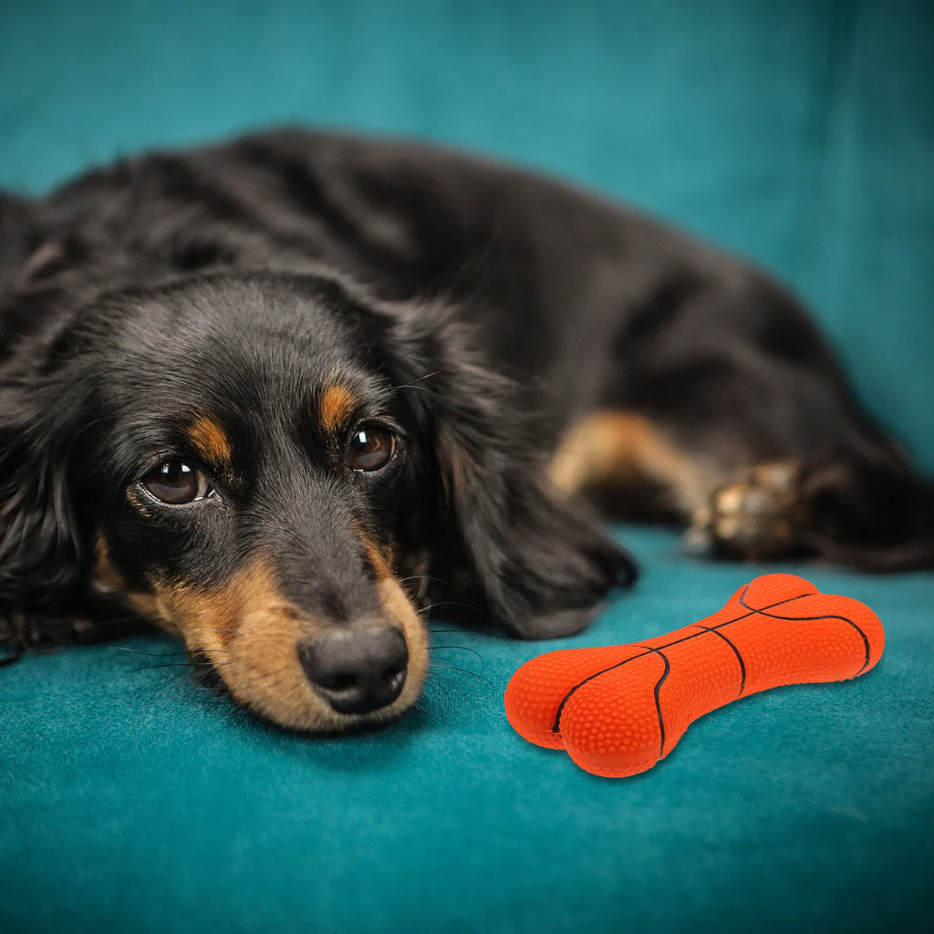 Latex Dog Chew Small Puppy Squeaky Bones Shaped Basketball