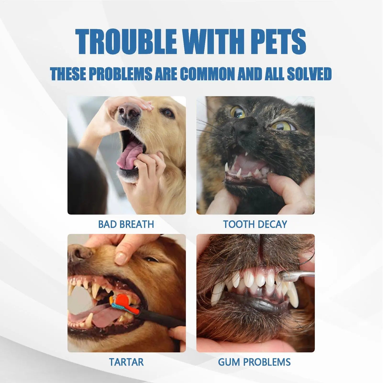 Dog Teeth Cleaning Foam Cat Breath Freshener Control Tarter Plaques
