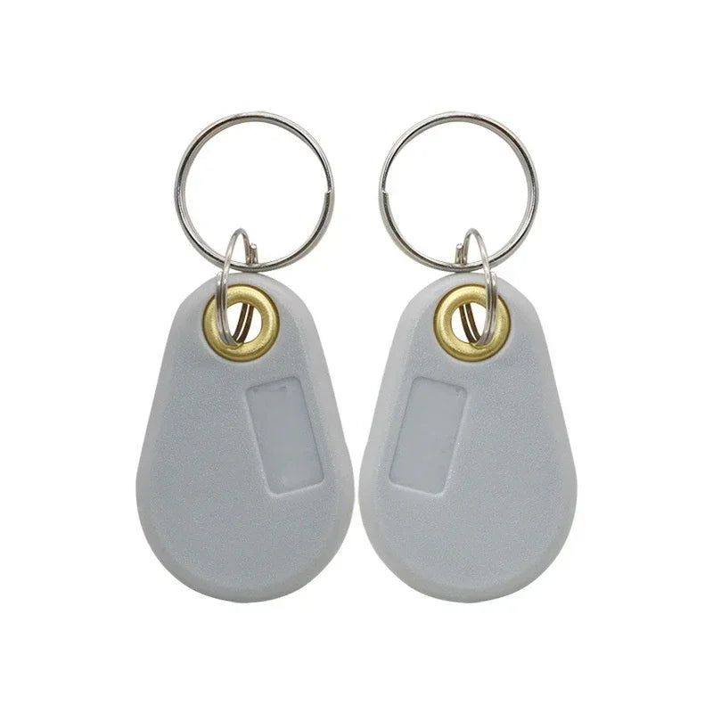125KHz EM4305 T5577 RFID Key Tags Ring Blank Chip Copy Writable Grey Zpaxo