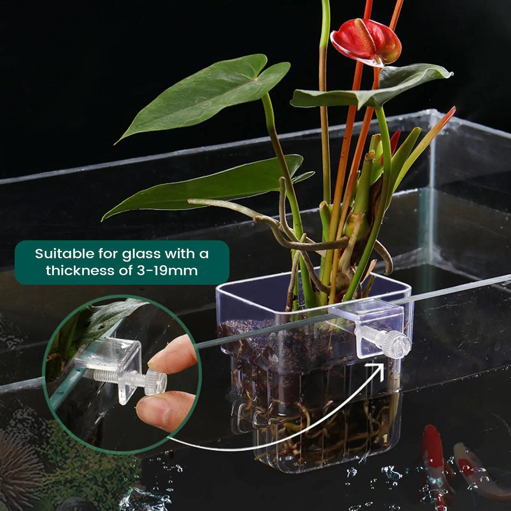Plant Holder Fish Tank Transparent Hanger Pot Aquatic Hydroponic