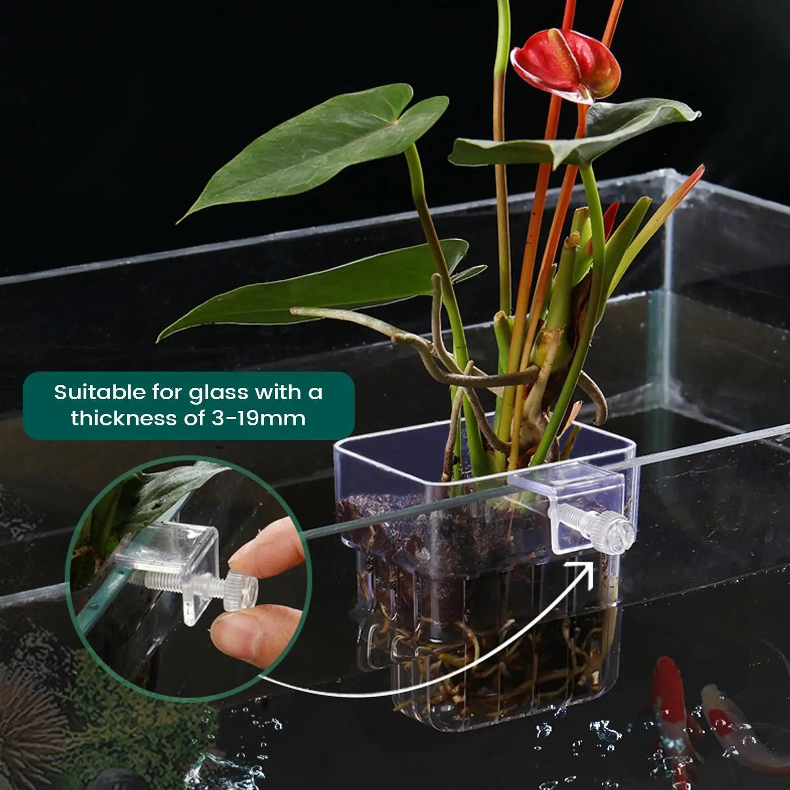 Plant Holder Fish Tank Transparent Hanger Pot Aquatic Hydroponic