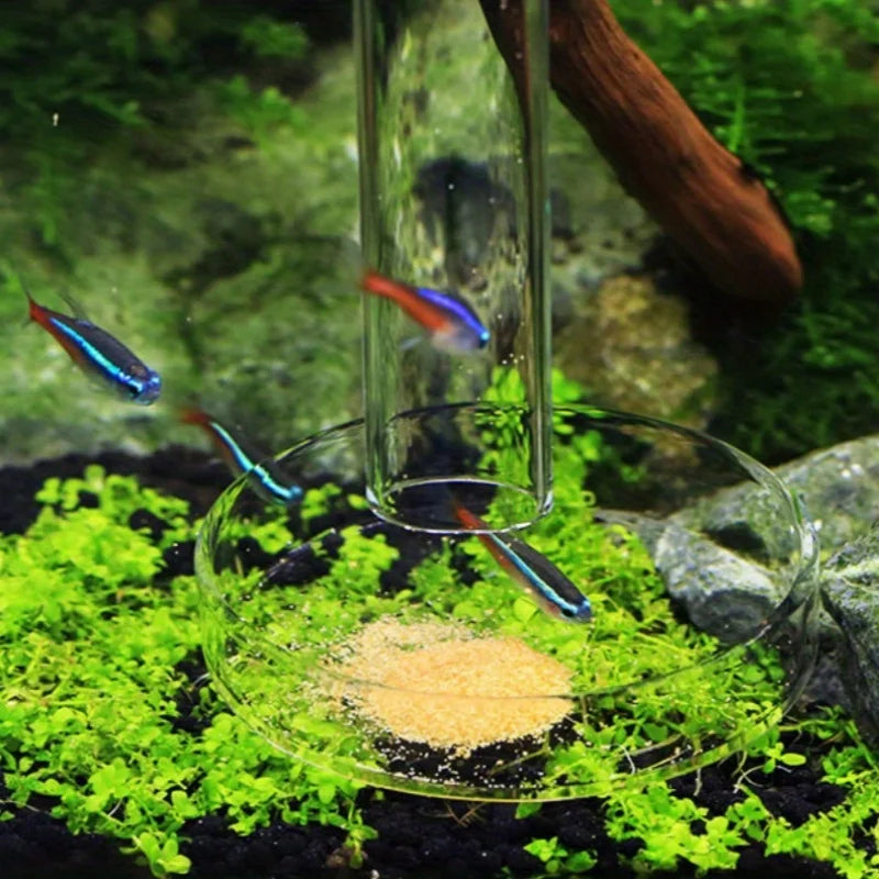 Aquarium Glass Feeding Tube Shrimp Dish Bell-shaped Borosilicate