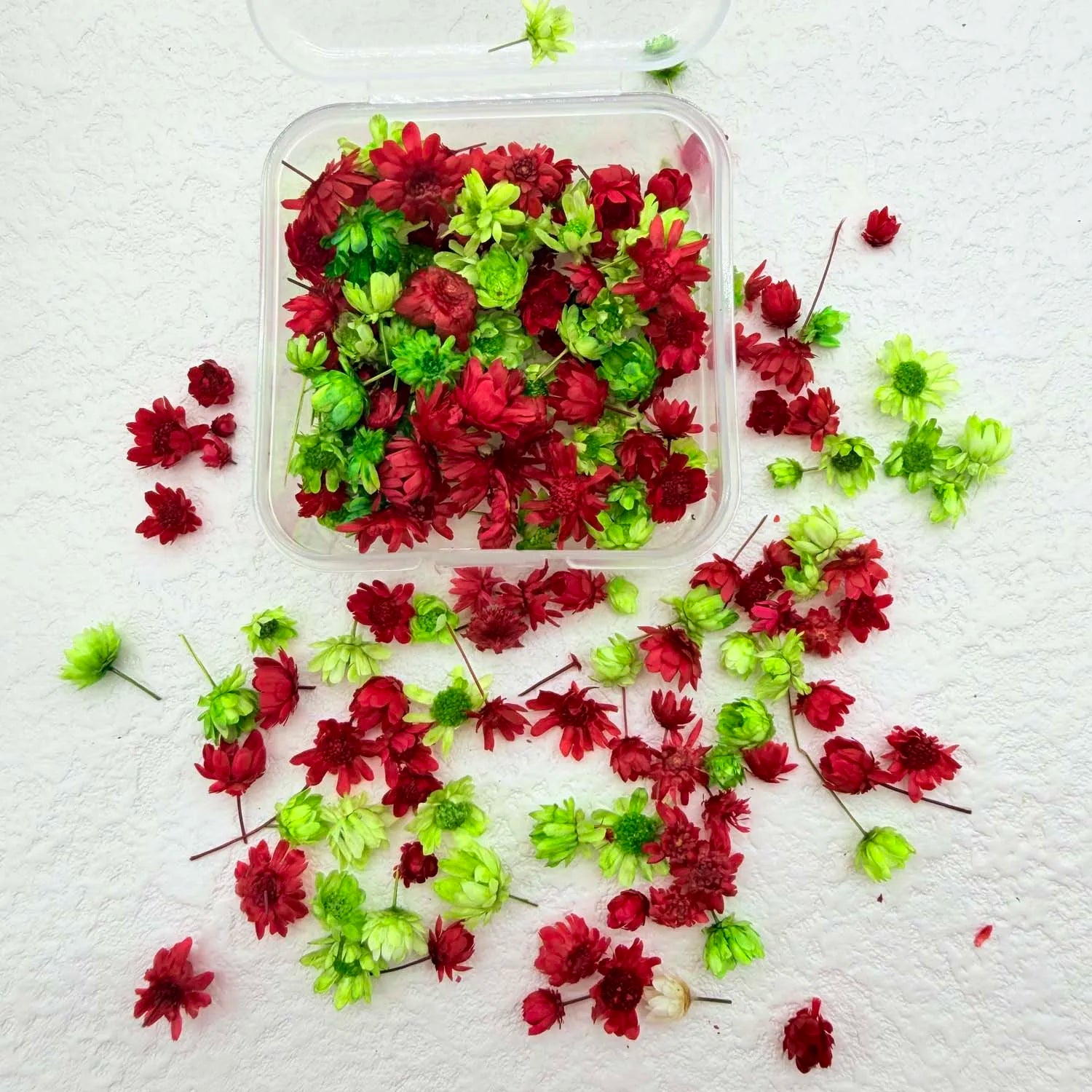 1BOX DIY Flowers Handmade Craft For Nail Art Resin Mold Fillings Candle making Jewelry Resin Phone Case Craft Decoration Zpaxo E