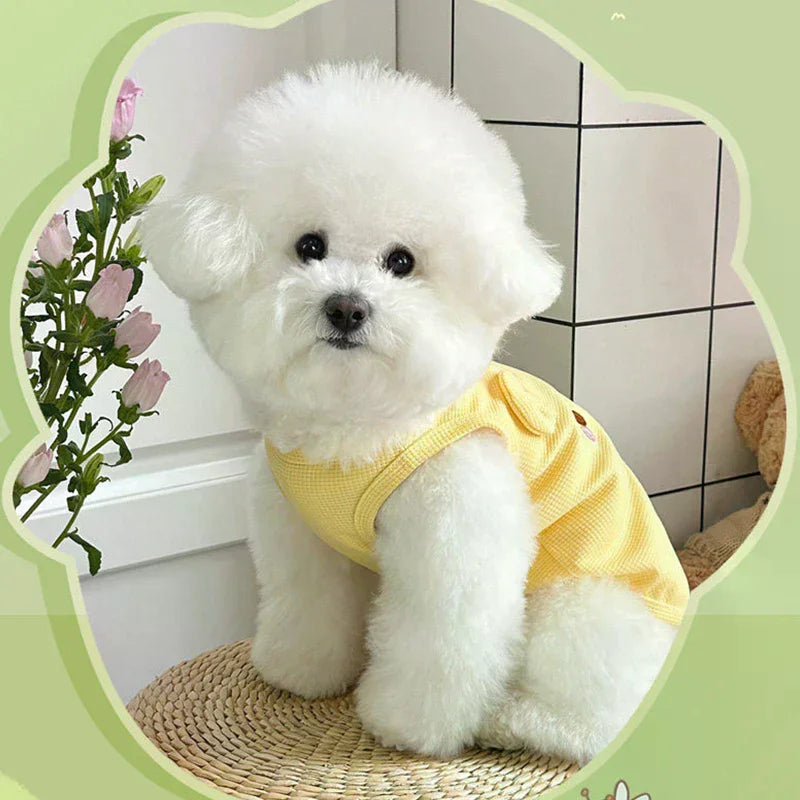 Cute Pet Vest Breathable Waffle Knit Soft Comfortable Traction Buckle Zpaxo