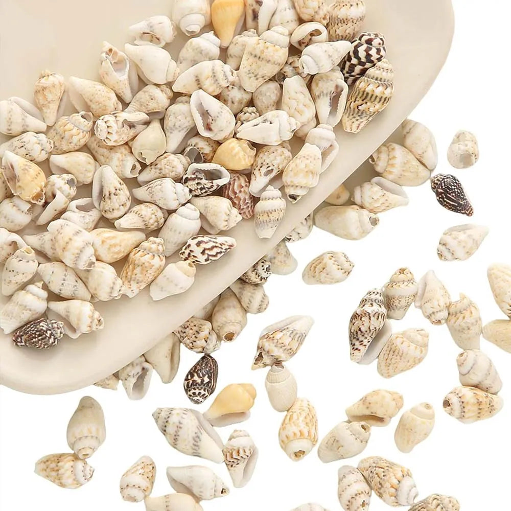100pcs Miniature Fairy Garden Seashells – Vase Filler & Decor Decorative Seashells Zpaxo