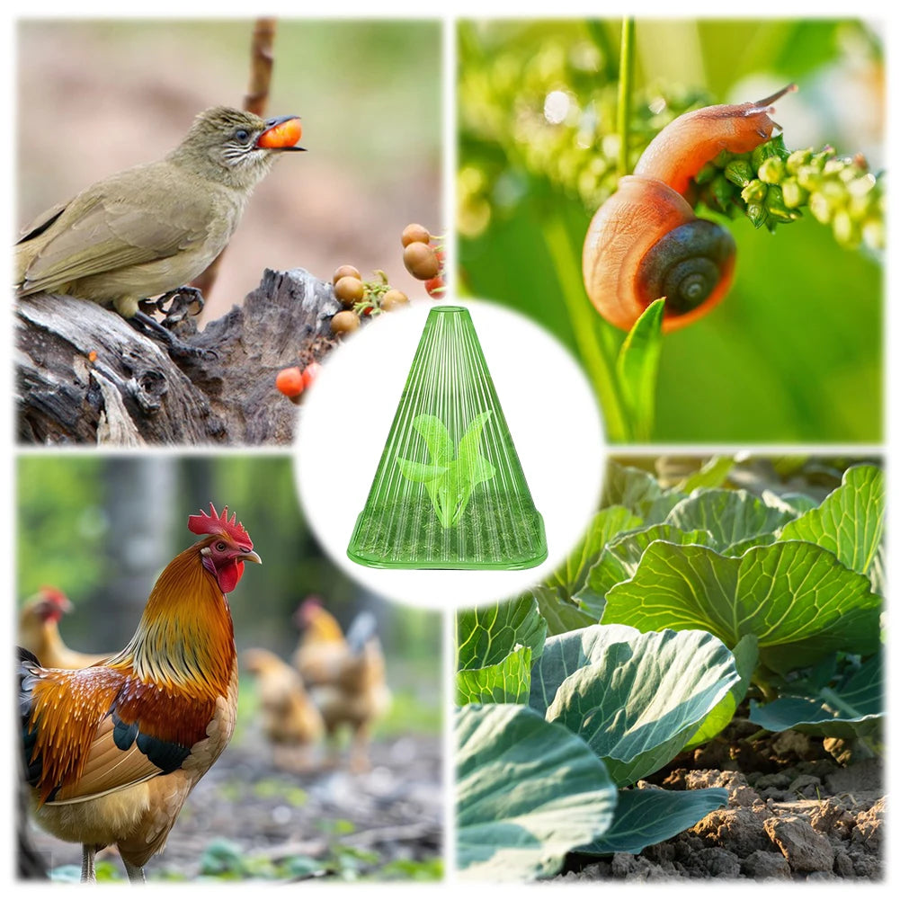 5/12/15/21/25/31 Pcs Plant Covers Plant Bell Cover Bell Jar Cloches Protects Plants From Birds Frost Snails Etc Zpaxo