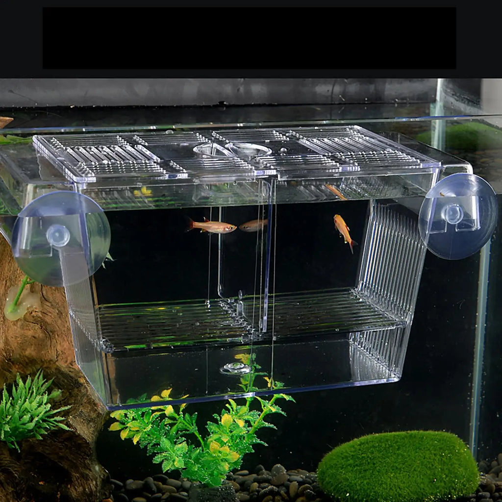 Aquarium Fish Breeder Box Clear Betta Fish Tank Fish Breeding Isolation Box Hatching Incubator Box For Baby Fish Shrimp Trap Box Zpaxo
