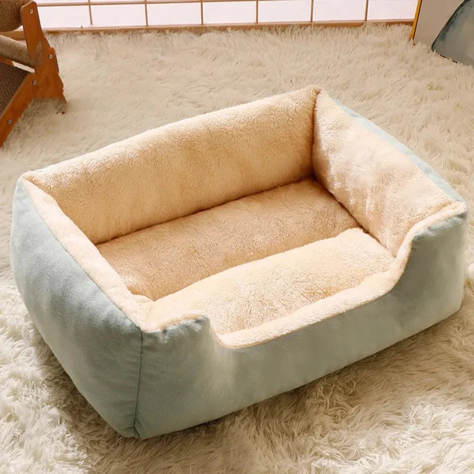 Bed for Cats Pet Products Cushions Kitten Goods Accessories Dog All Houses Supplies Things Accessory Habitats Basket House Beds Zpaxo