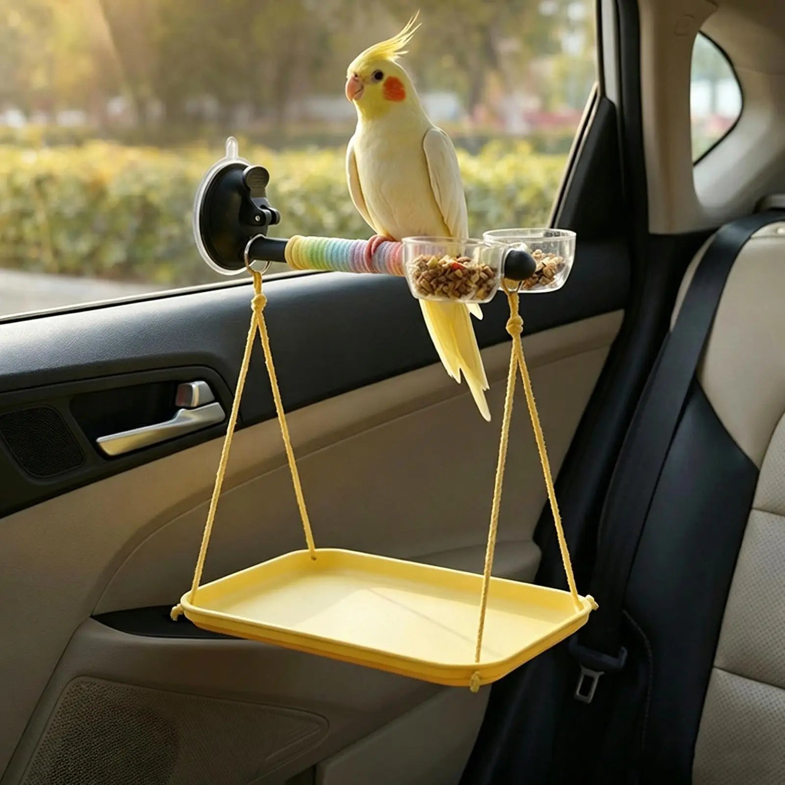 Window Perch Birds Suction Cup Interactive Toy Bird Shower Parakeet