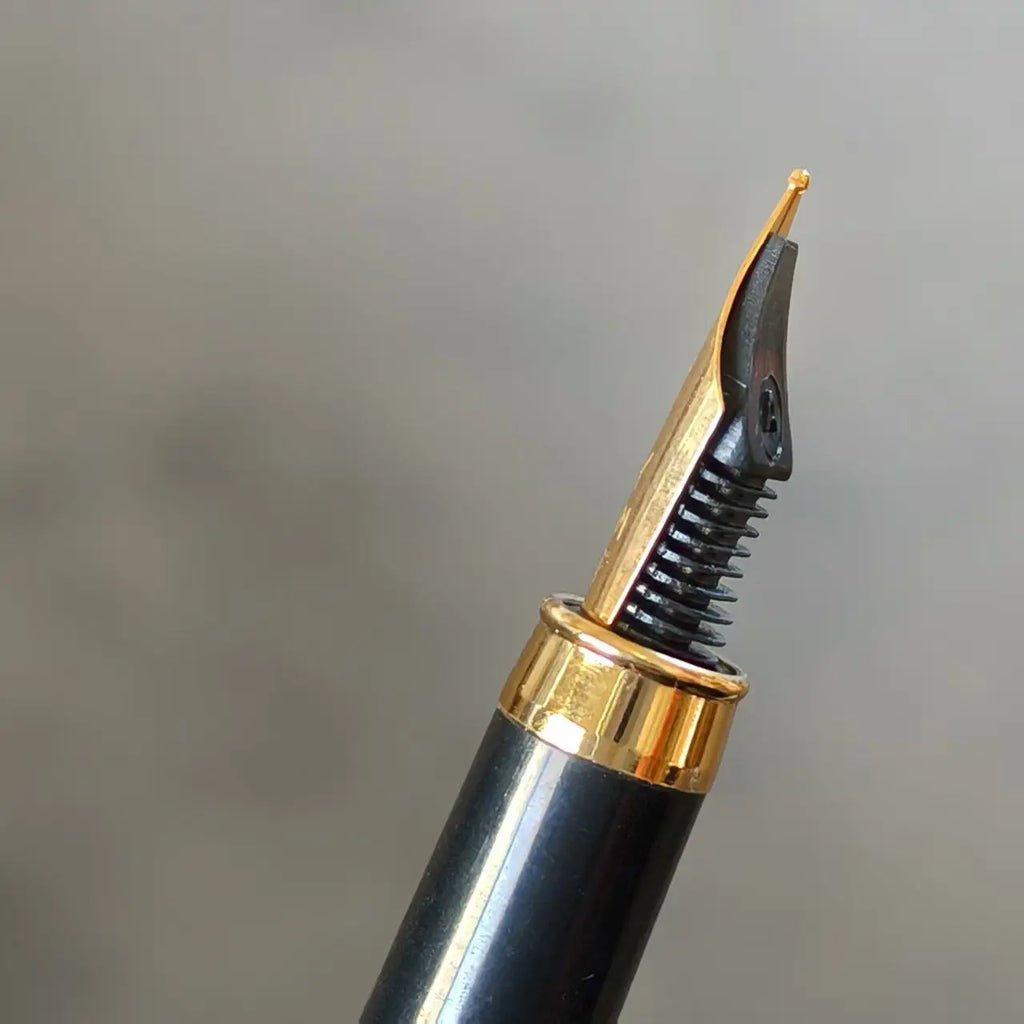 Retro Yongsheng 1020 Fountain Pen Iridium Nib F Smooth Writing Plastic Body Classic Vintage Retro Adult Calligraphy Stationer Zpaxo
