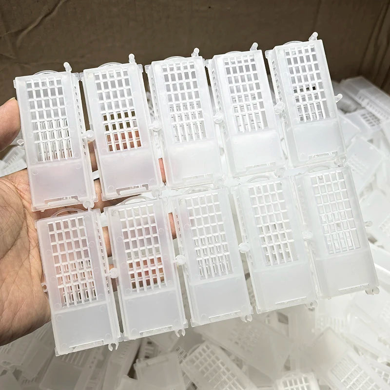 Beekeeping Bees Transparent Queen Cages Bee Transport Apiculture