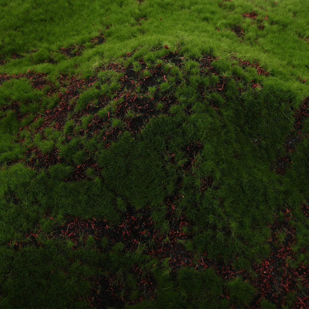 11 8x11 Artificial Moss Sheet Realistic Decor Crafts Terrariums