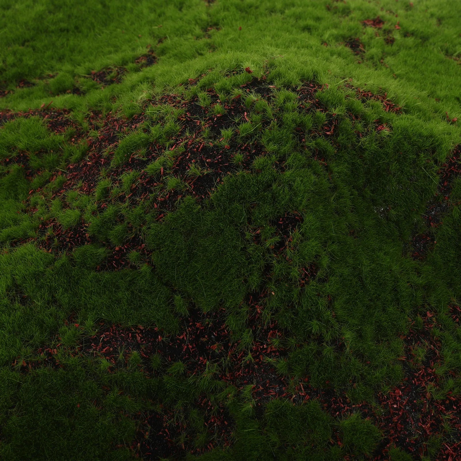 11 8x11 Artificial Moss Sheet Realistic Decor Crafts Terrariums