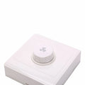 86 White AC220V 10A Plastic Ceiling Fan Solid Controller Wall Switch