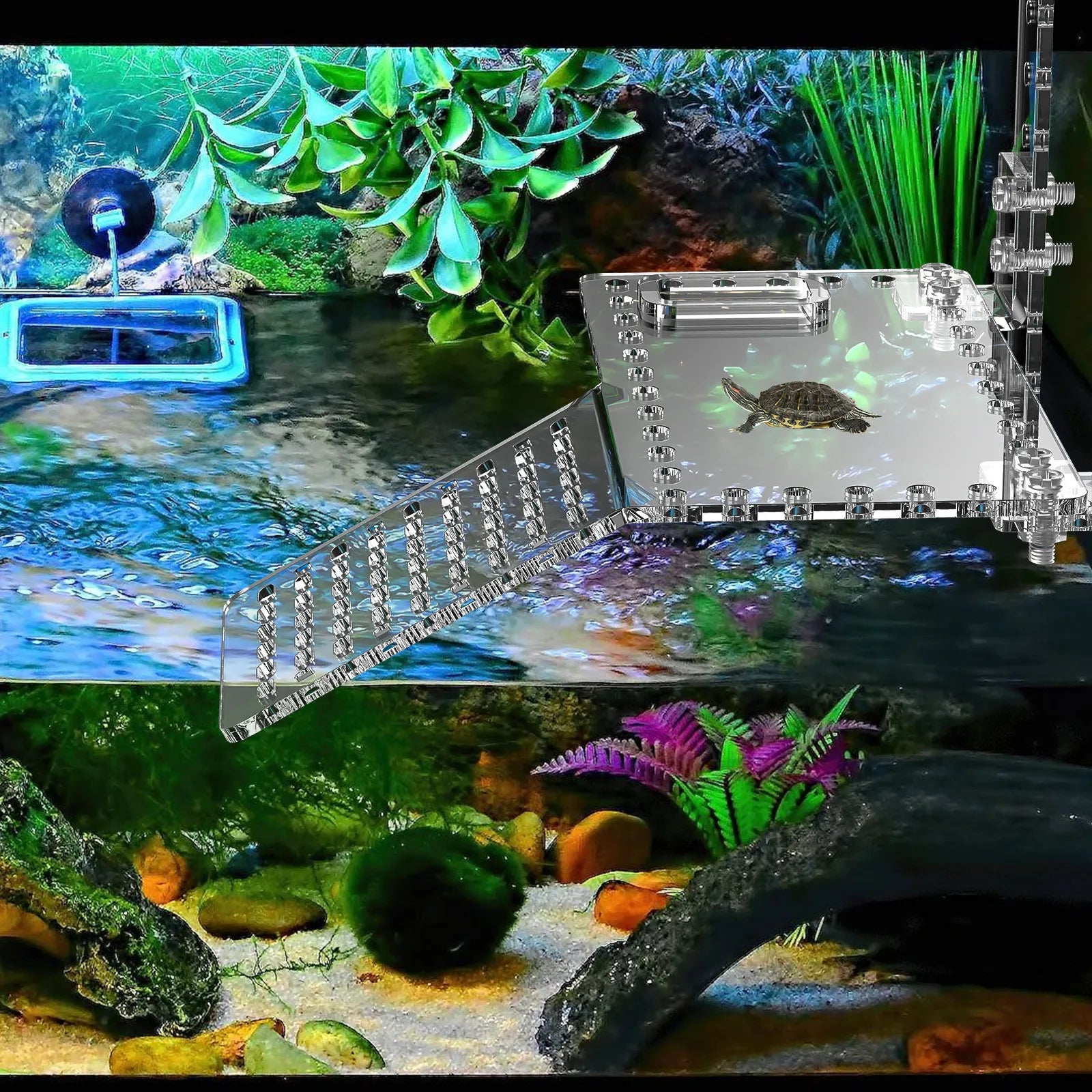 Premium Acrylic Hanging Basking Platform Turtles Tortoises Reptiles