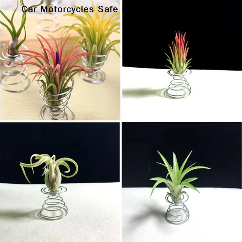 CM6 Flower Pot Stainless Steel Air Plant Stand Container Tillandsia