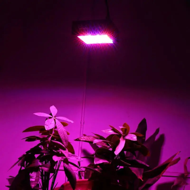 80W LED Grow Light 42leds IP66 Indoor Hydroponic System Fruits Lamp Zpaxo
