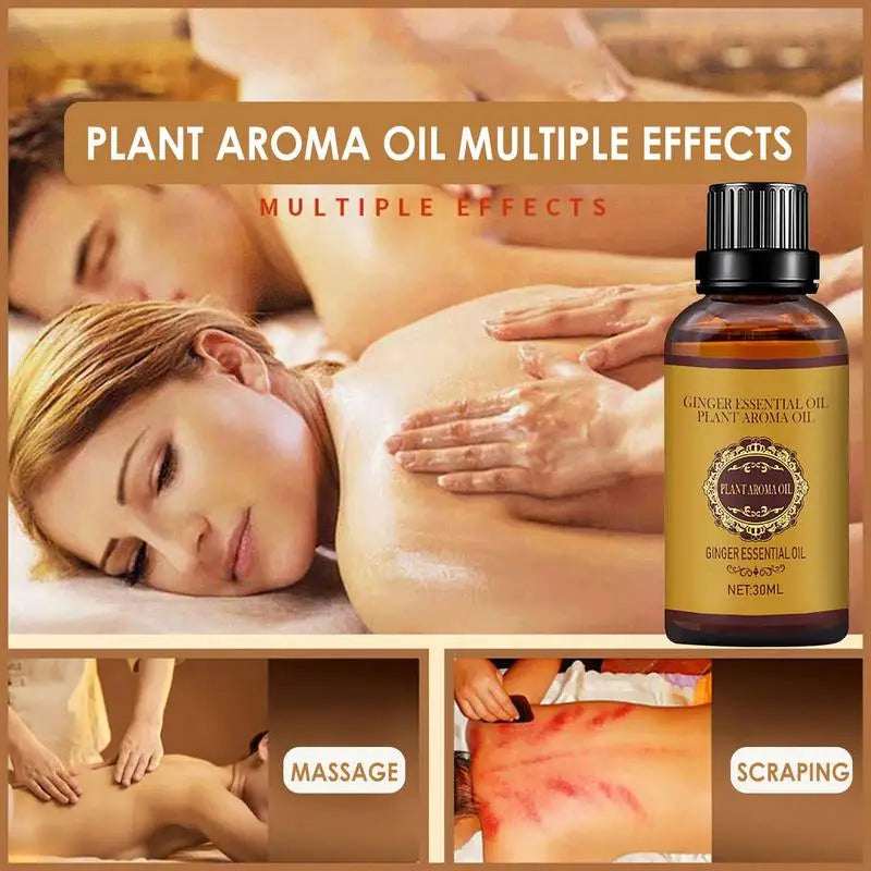 30ml Ginger Essential Massage Oil – Aromatherapy & Spa Bath Essential Massage Oil Zpaxo