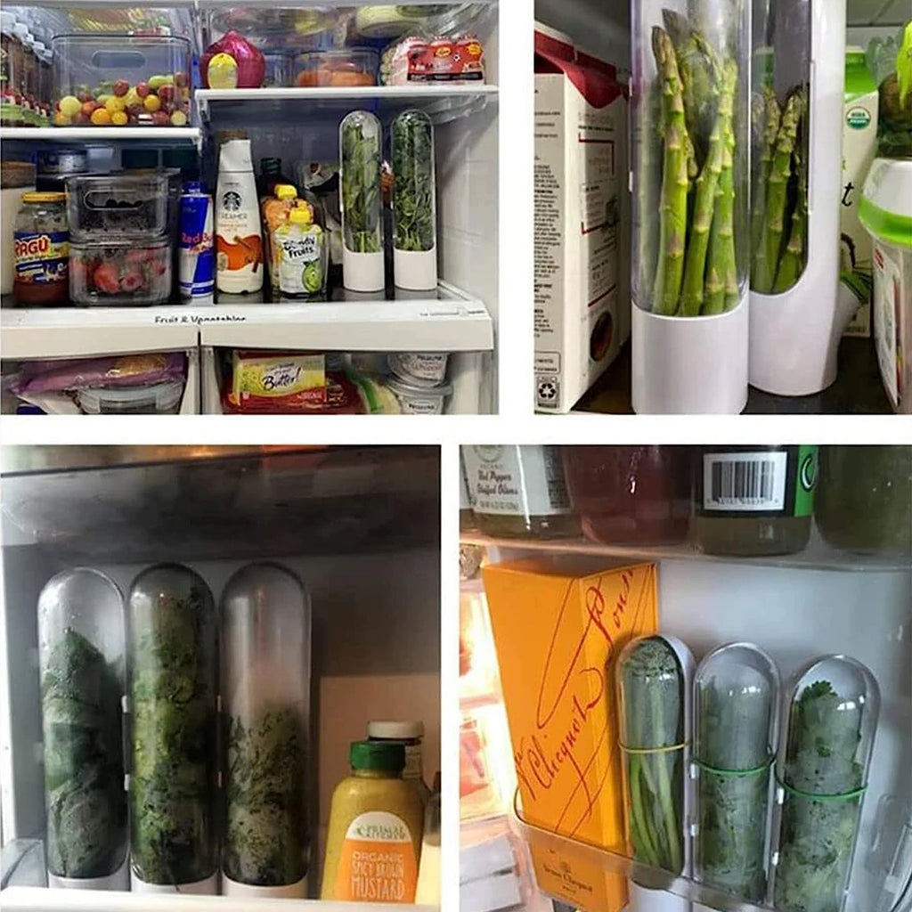 Herb Saver Storage Container Fresh Herb Keeper Vanilla Vegetables Fresh Preservation Bottle for Refrigerator Kitchen Gadgets Zpaxo