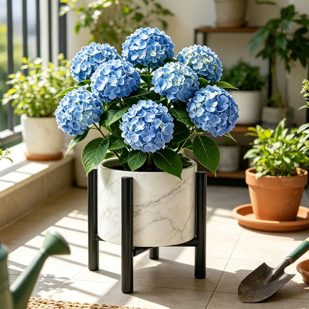 Adjustable Plant Stand Indoor Metal Triangular Holder Waterproof