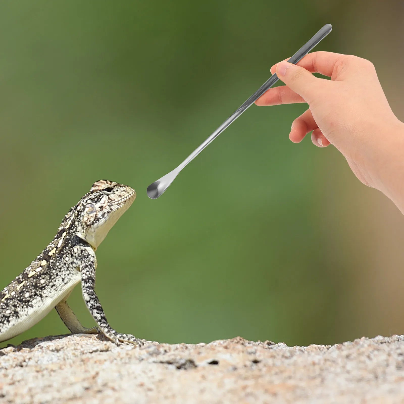 Pet Food Scoop Stainless Steel Small Animal Feeding Spoon Portable